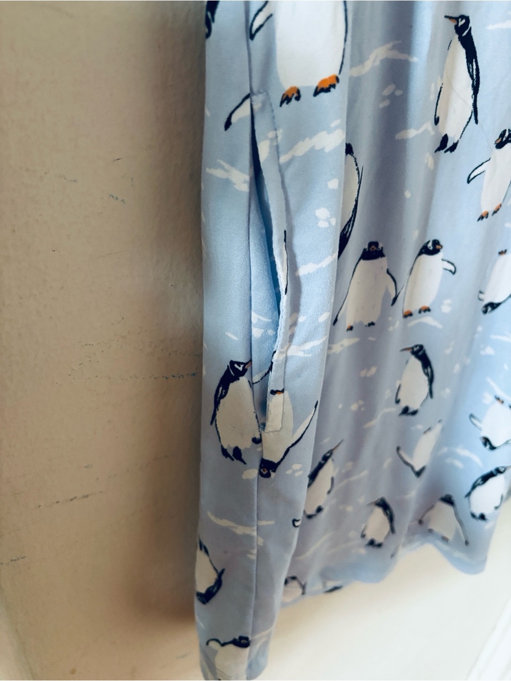 Joyspun Cute Baby Blue Penguin Print Nightgown with Pockets - Picture 3 of 4